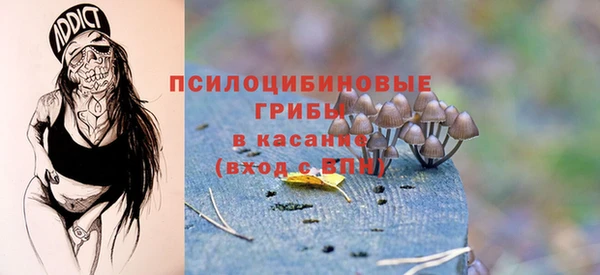 винт Няндома