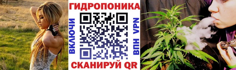 Бошки марихуана White Widow  Купить закладки  Ижевск 